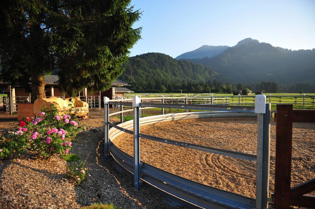 Der Landhof Lejlighed Oberstdorf Eksteriør billede